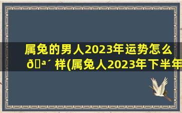 属兔的男人2023年运势怎么 🪴 样(属兔人2023年下半年运势咋样)